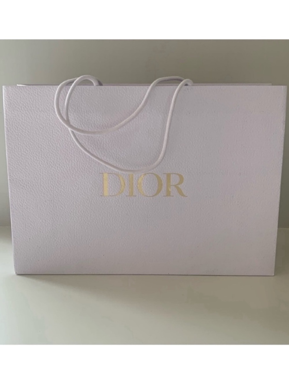 Dior White Textured Gold Logo Medium/Large Shopping Bag Gift Bag Storage Bag